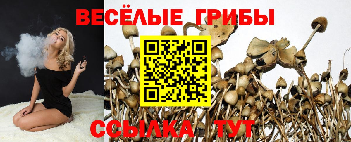 Псилоцибиновые грибы Magic Shrooms Аргун